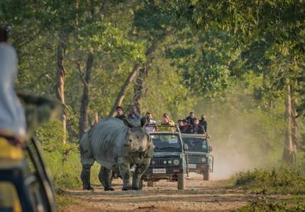 Mangrove Wildlife Adventure – Sundarban Explorer