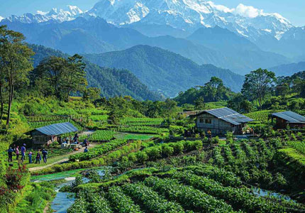 Eastern Himalaya Grand Tour (Darjeeling–Sikkim–Bhutan)
