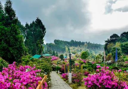 Classic Darjeeling Hill Station Experience