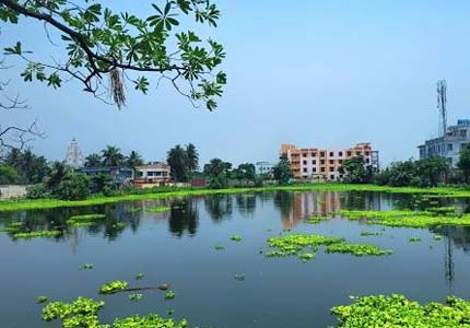 Haldia Tempo Travellers