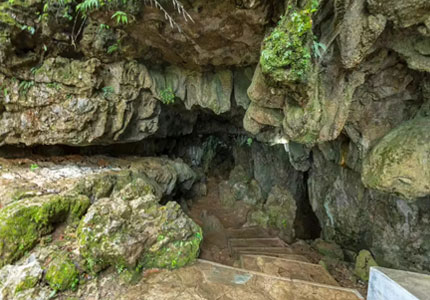 Meghalaya Nature & Falls Adventure Tour