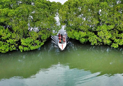 Mangrove Wildlife Adventure – Sundarban Explorer