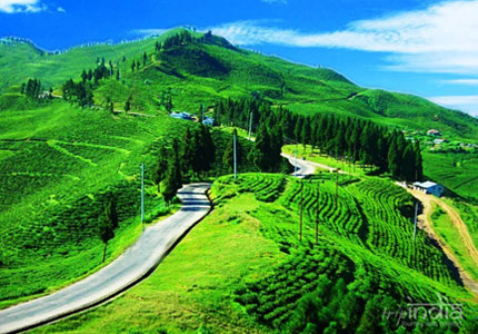 Eastern Himalaya Grand Tour (Darjeeling–Sikkim–Bhutan)