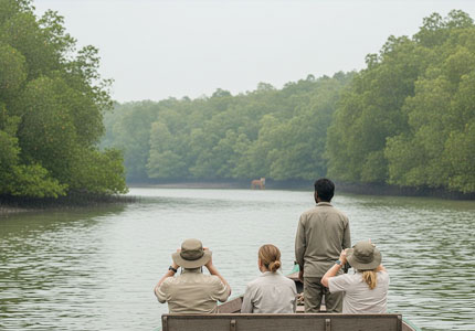 Sundarbans Tempo Travellers