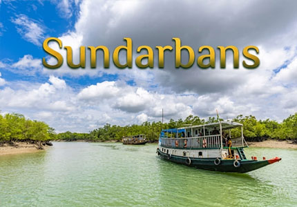 Sundarbans Tempo Travellers