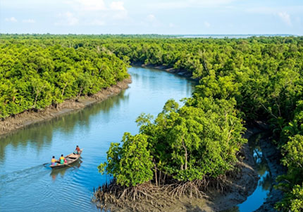 Sundarbans Tempo Travellers